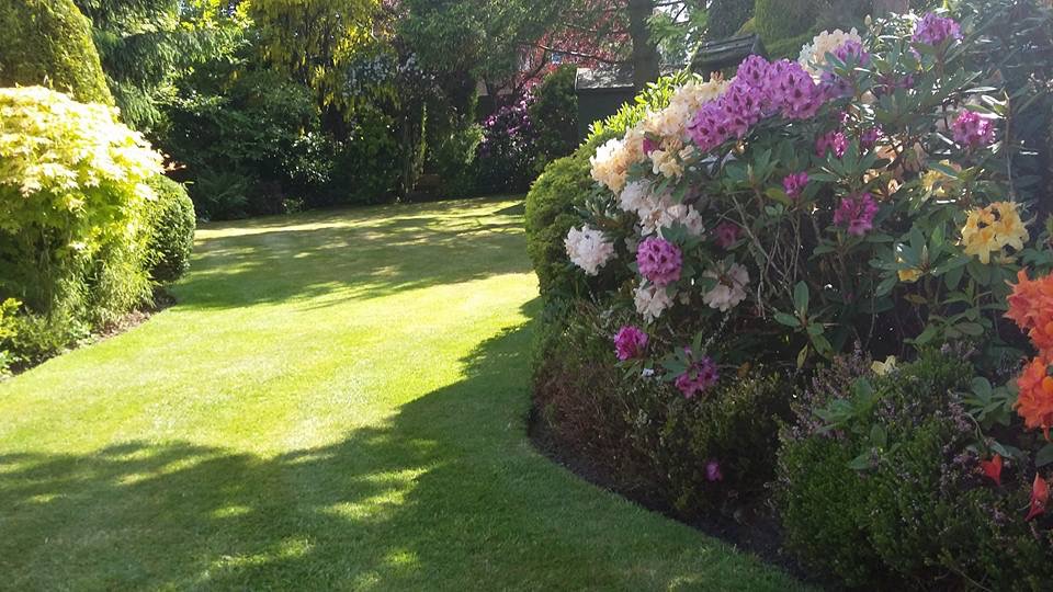 Gardener: Image 10